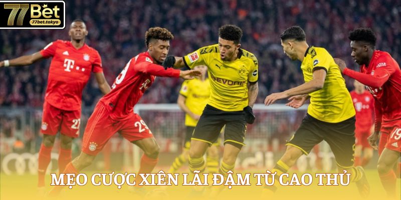Cược Xiên Bóng Đá - HÌnh Thức Cược Hấp Dẫn, Nhuận Cao 4 Mẹo cược xiên lãi đậm từ cao thủ