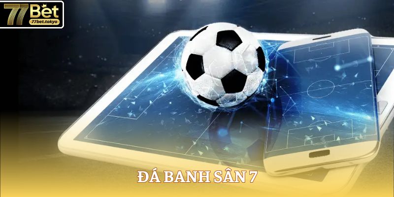 da banh san 7