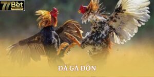 da ga don
