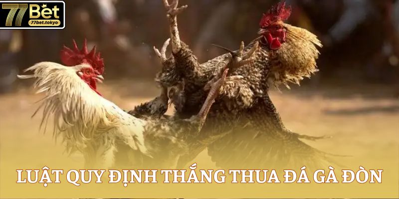 Đá Gà Đòn - Điểm Hẹn Hấp Dẫn Dành Cho Sư Kê Chuyên Nghiệp 3 Luật quy định thắng thua đá gà đòn