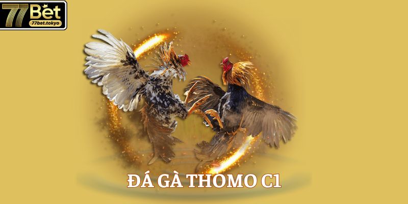 da ga thomo c1